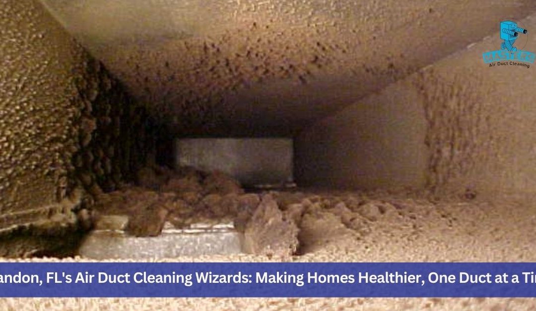 San Antonio’s Hidden Health Hazard: Why Air Duct Cleaning is a Must