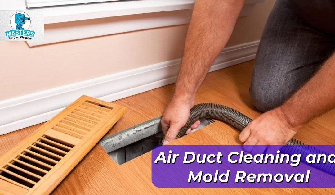 Air Duct Cleaning and Mold Removal