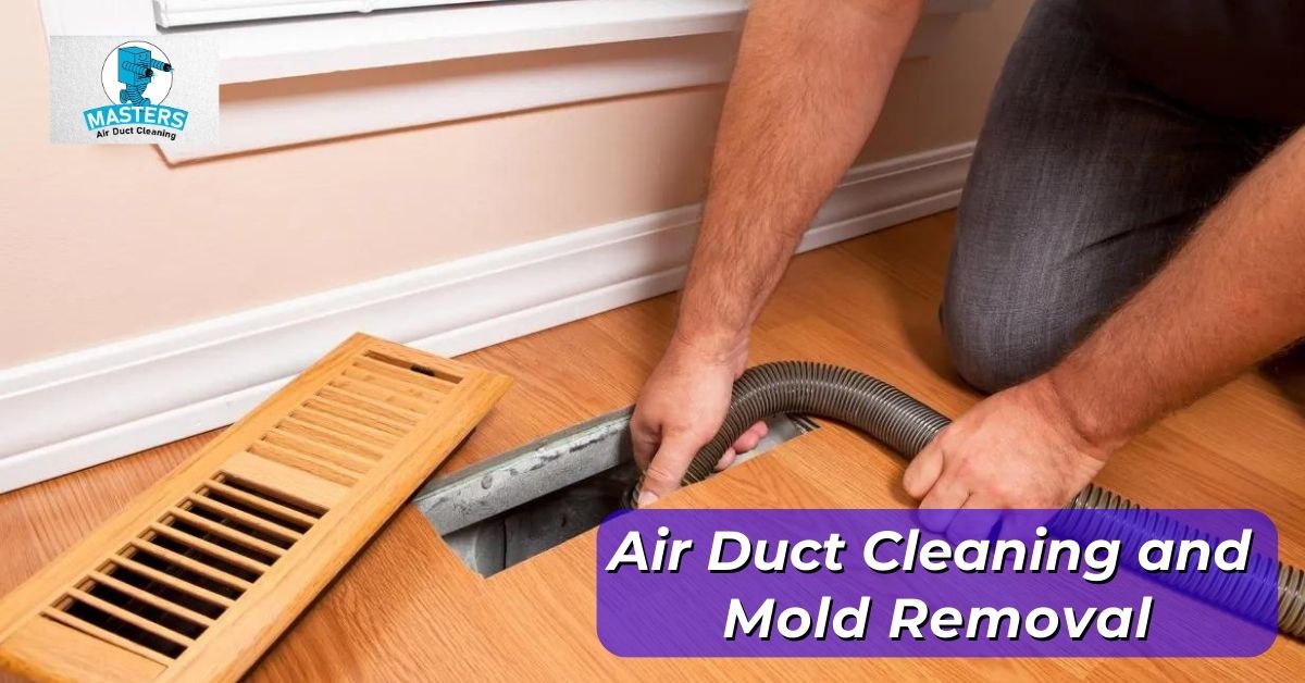 air duct cleaning and mold removal -